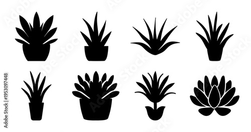 Black Silhouette Illustration of Eight Plants, Including Potted and Unpotted Varieties