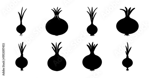 Silhouette Illustration of Onions in Various Sizes and Stages of Growth