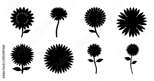 Collection of eight black flower silhouettes on a white isolated background