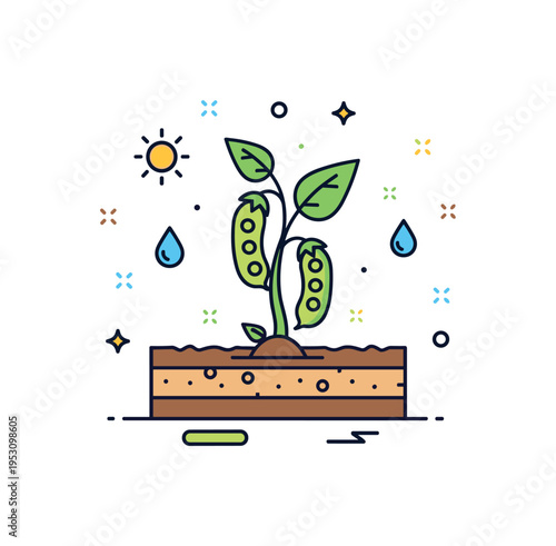 Bean farming concept featuring a small plant with visible pods growing from stylized soil layers, accompanied by subtle sun and water drop icons to symbolize