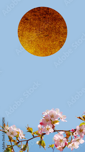 満月もしくは太陽と桜