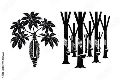 Rubber tree and tapping illustration
