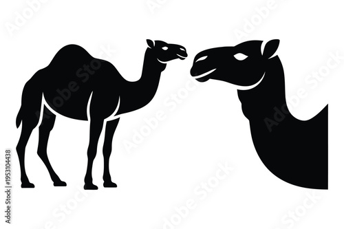 Camel silhouette and head icon with black and white