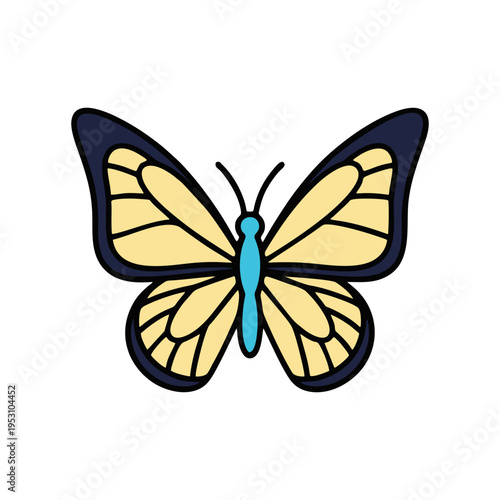butterfly vector illustration