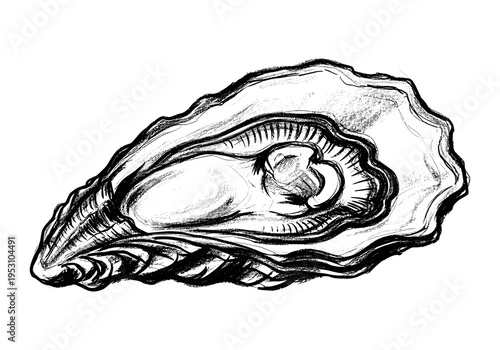 Hand-drawn sketch of an open oyster revealing its delicate interior on a white background