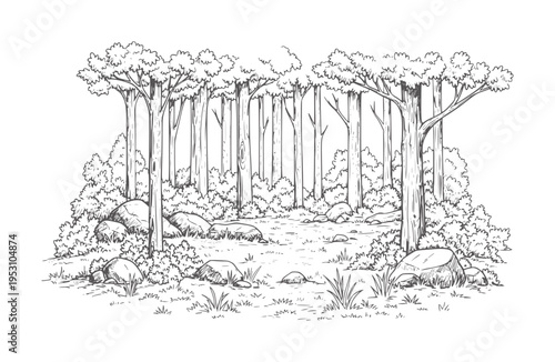 Hand drawn forest clearing with trees rocks and grass