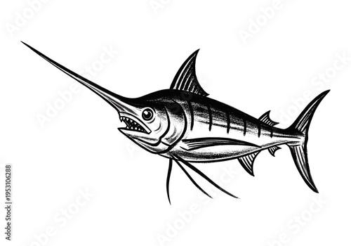 Striking black and white illustration of a fierce marlin with its sharp bill and fins