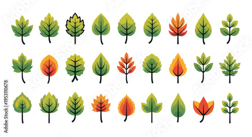 Collection of autumn leaves in various colors and shapes displayed in a grid pattern