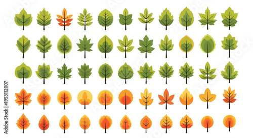 Vibrant collection of autumnal leaves in various shades and shapes displayed in a grid formation