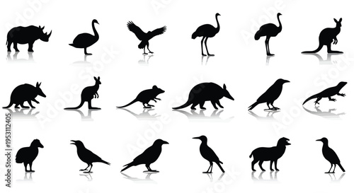 Diverse silhouettes of various bird and animal species in black and white