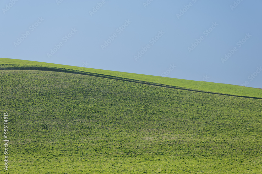 Obraz premium Minimal green hill landscape with blue sky and copy space