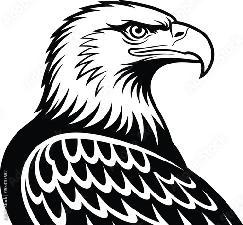 Eagle head illustration with strong bird of prey design for wildlife branding mascot logo and powerful visual identity graphics collection