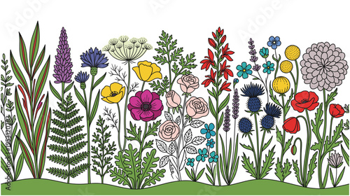 Variety of colorful wildflowers and garden plants blooming