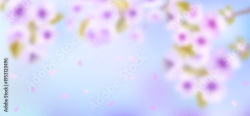 Pink cherry blossom flower branches, buds and leaves set, sakura illustration with petals, Japanese spring floral background for pattern and frame design.