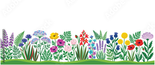 Border of colorful wildflowers and garden plants in bloom