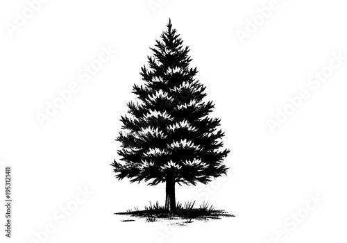 Black silhouette of a coniferous tree with grass at its base on a white background