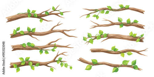 Watercolor set of tree branches with climbing vines and spring leaves isolated on transparent background