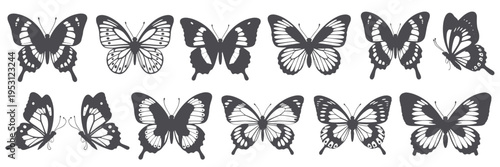 Collection of dark grey butterfly silhouettes on white background