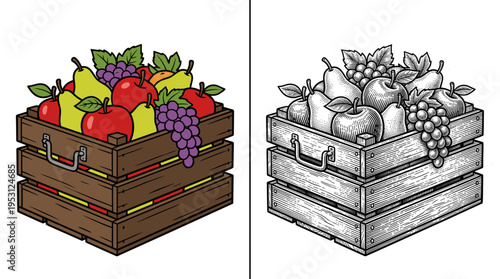 Wooden crate filled with fresh harvest fruits for organic farming and local market concept