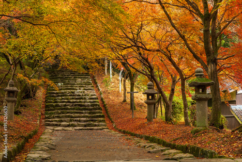 Bild auf Leinwand 日本の風景・秋　福岡　紅葉の秋月城跡