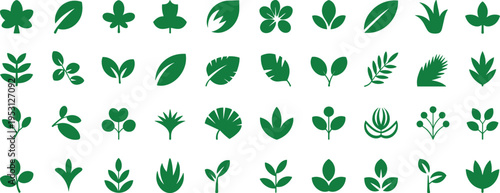 Diverse green leaves collection : A comprehensive collection of various green leaves illustrations, representing the diversity of plant life.
