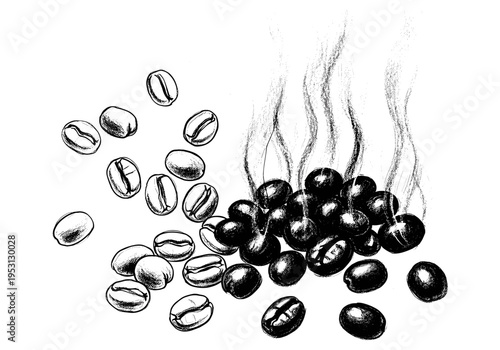 Hand-drawn illustration of steaming roasted coffee beans scattered on a white background