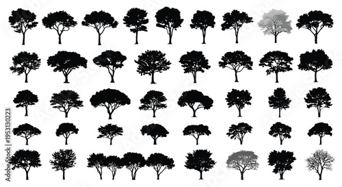 Diverse black and white silhouettes of various tree types arranged in a grid pattern