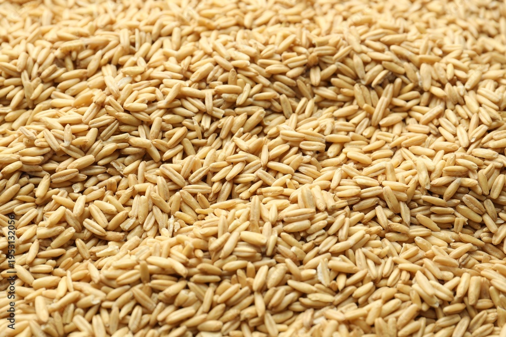 Fototapeta premium Natural oat grain as background, closeup view