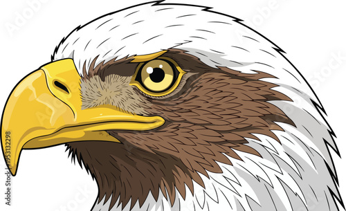 The head of a predatory sea eagle with sharp blue eyes and a yellow beak shows the beauty of raptor wildlife in a stunning nature photo frame