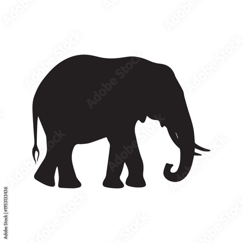 African Elephant Silhouette Front View Walking Towards Camera On Isolated White Background
