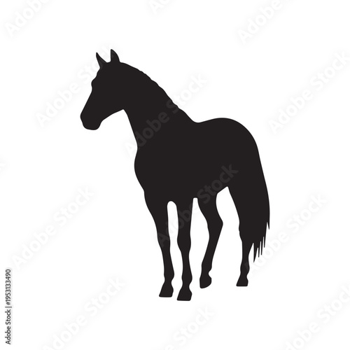 Graceful Black Horse Silhouette Standing In Profile View Isolated On White Background