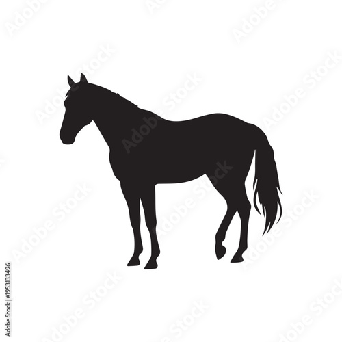 Graceful Black Horse Silhouette Standing In Profile View Isolated On White Background