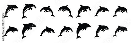 dolphin silhouette vector icon set collection and isolated on transparent background.