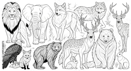 Collection of wild animals standing.