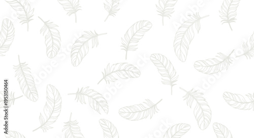 Feathers floating in the air.