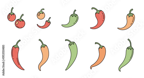 Colorful variety of chili peppers.