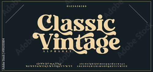 Classic Vintage Luxury wedding alphabet letters font and number. Typography elegant classic lettering serif fonts decorative vintage retro concept. vector illustration