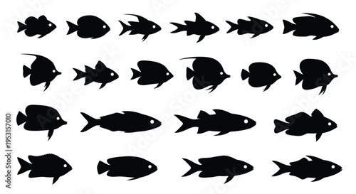 A collection of stylized black silhouettes of various fish swimming in formation
