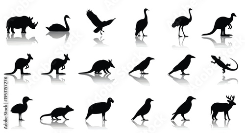 Silhouettes of diverse animals in black and white contrasting shadows.
