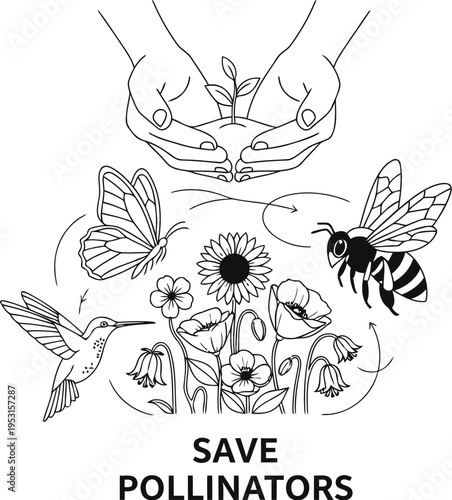 Illustration of various bees and a butterfly around a plant with the text 'safr pollinators'