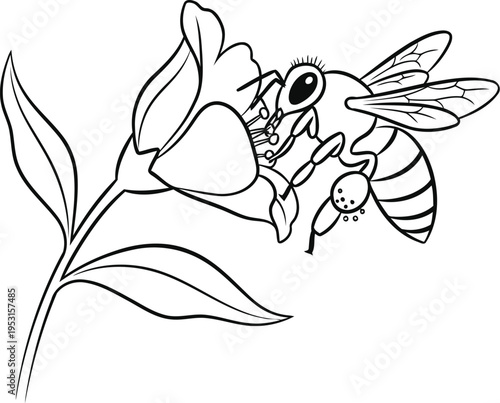Elegant line drawing of a bee pollinating a delicate flower on a branch