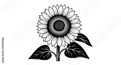 Sunflower illustration with leaves.