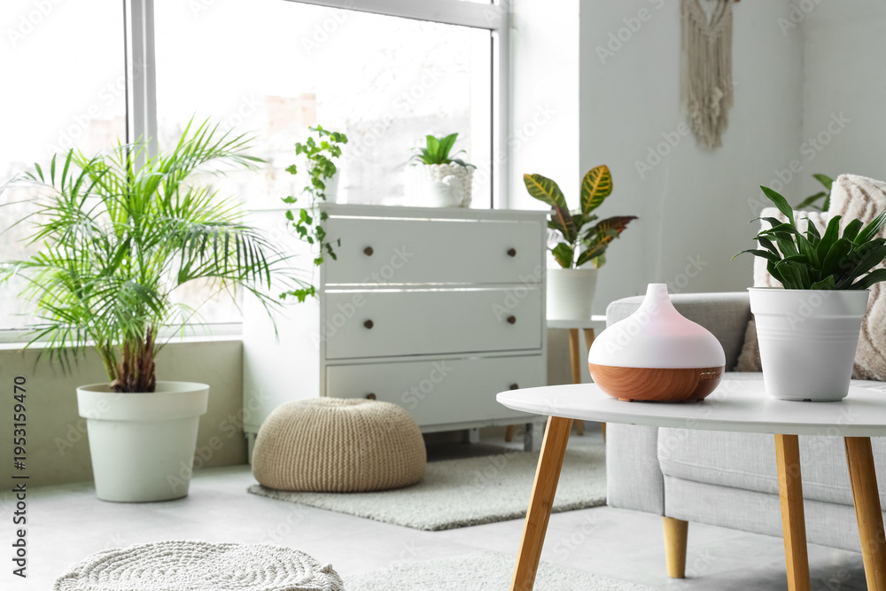 Fototapeta premium Air humidifier with green plant on table in light living room interior