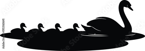 Silhouette mother swan with cygnets swimming in water vector design