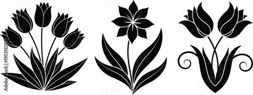 Decorative horse illustration with intricate zentangle patterns black and white animal art vector design for tattoo, coloring book, boho style and ornamental 