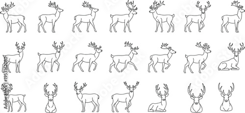 Deer stag silhouette collection with different poses antlers wildlife animal outline vector illustration set for hunting design nature theme and forest decoration