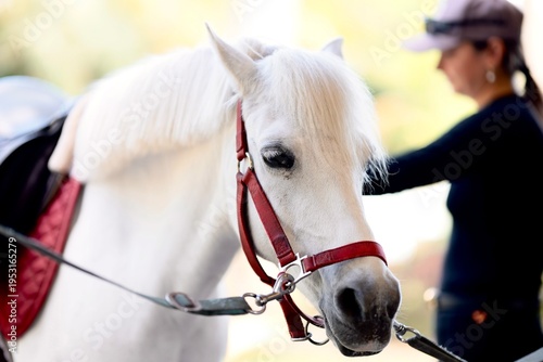 White Horse
