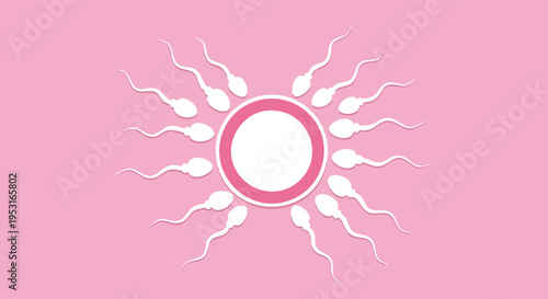 Sperm approaching egg. Fertility concept. Medical illustration.