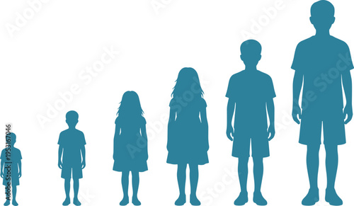 WebChildren growth stage silhouette set, boy and girl age progression, height chart comparison, kids growing up, family development vector, childhood.