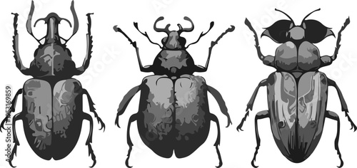 Highly Detailed Beetle Illustration Grid Featuring Colorful Vintage Insect Art with Ornamental Symmetry.